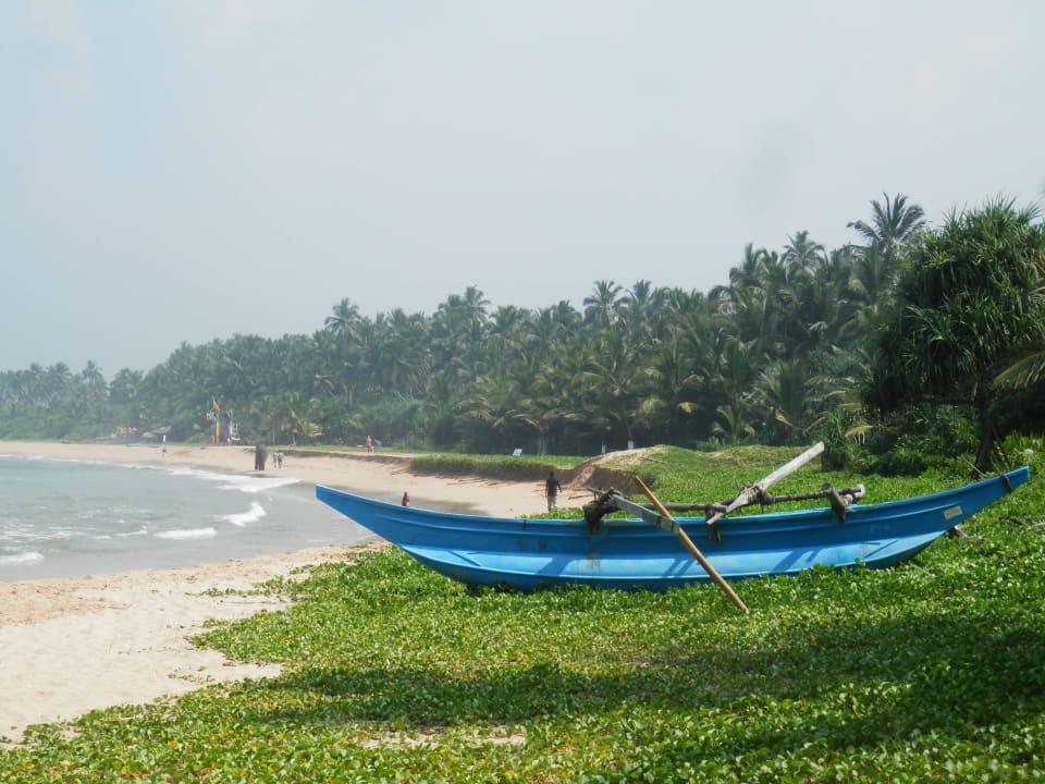 Strand in der Nähe des Hotels Hotel Bentota Village