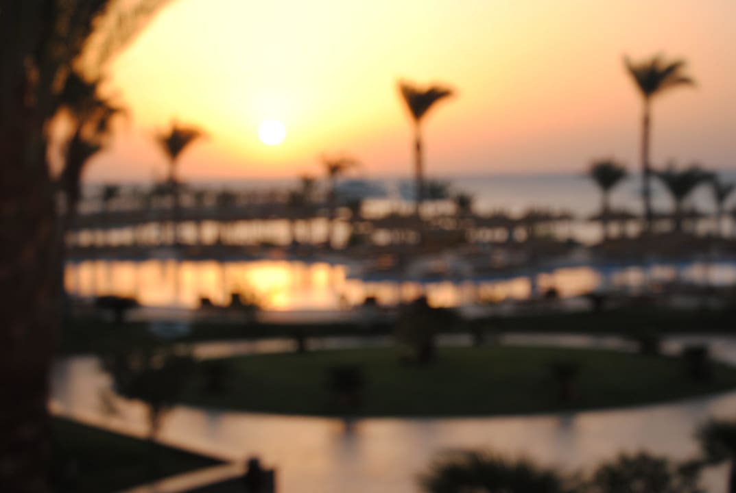 Blick vom Zimmer Beach Albatros Resort