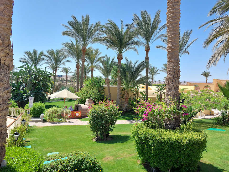 Gartenanlage Steigenberger Coraya Beach - Adults only