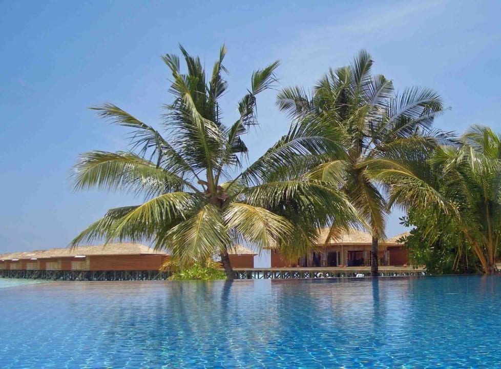 Sicht aus Pool Vilamendhoo Island Resort & Spa