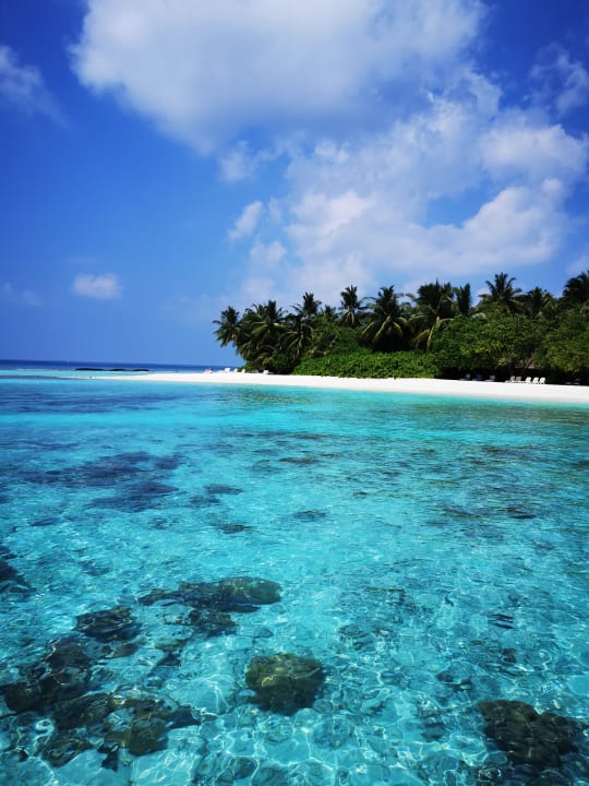Strand Kuramathi Maldives