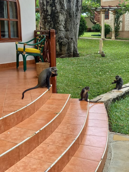 Gartenanlage Neptune Paradise Beach Resort & Spa