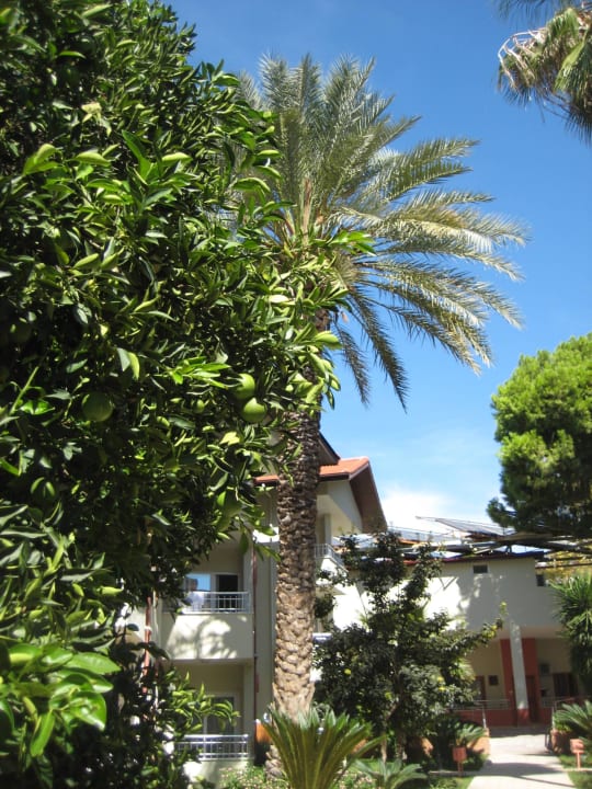 Hotelanlage Hotel Sirma