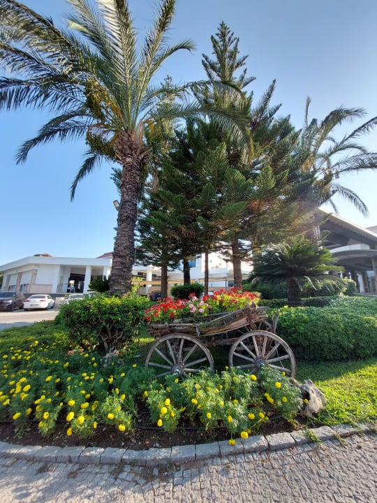 Gartenanlage Crystal Paraiso Verde