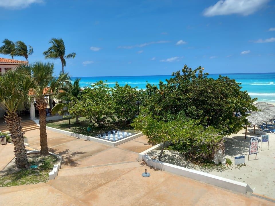 Strand Starfish Cuatro Palmas