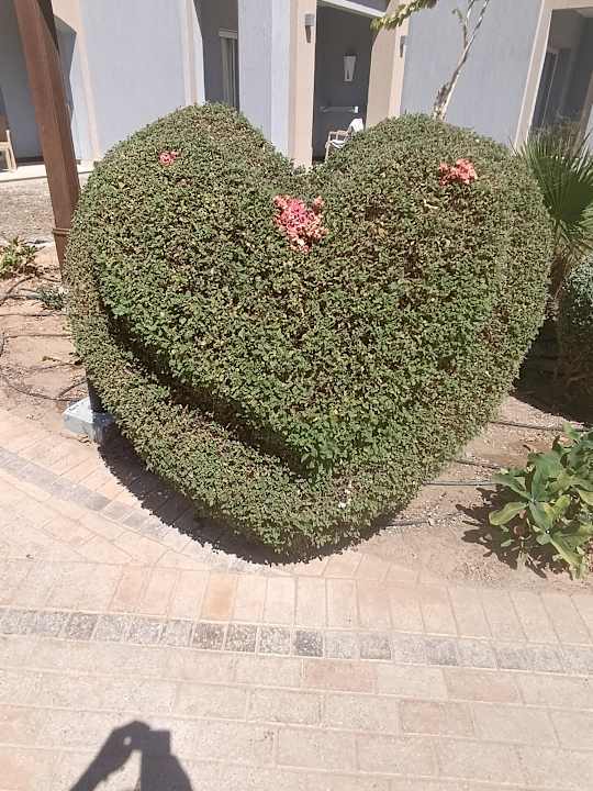 Gartenanlage Lazuli Hotel Marsa Alam