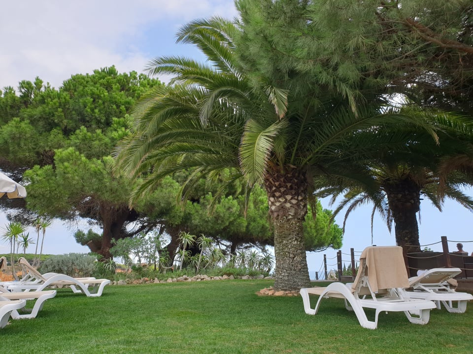 Gartenanlage PortoBay Falésia