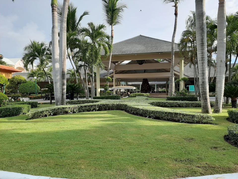 Garten Iberostar Waves Punta Cana
