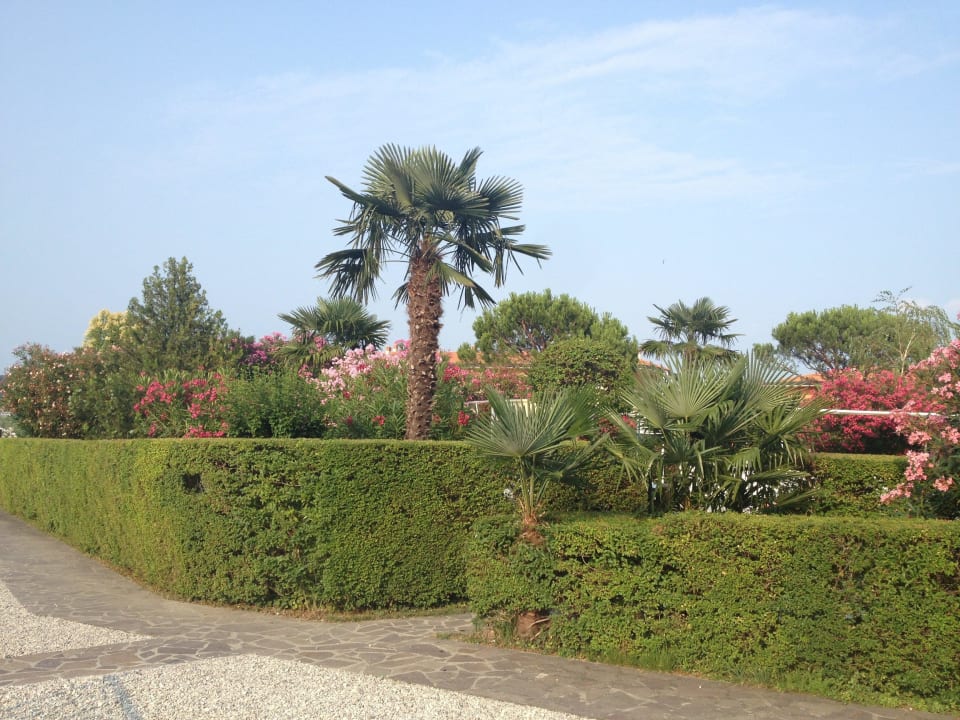 Eingang vom Parkplatz Hotel San Sivino