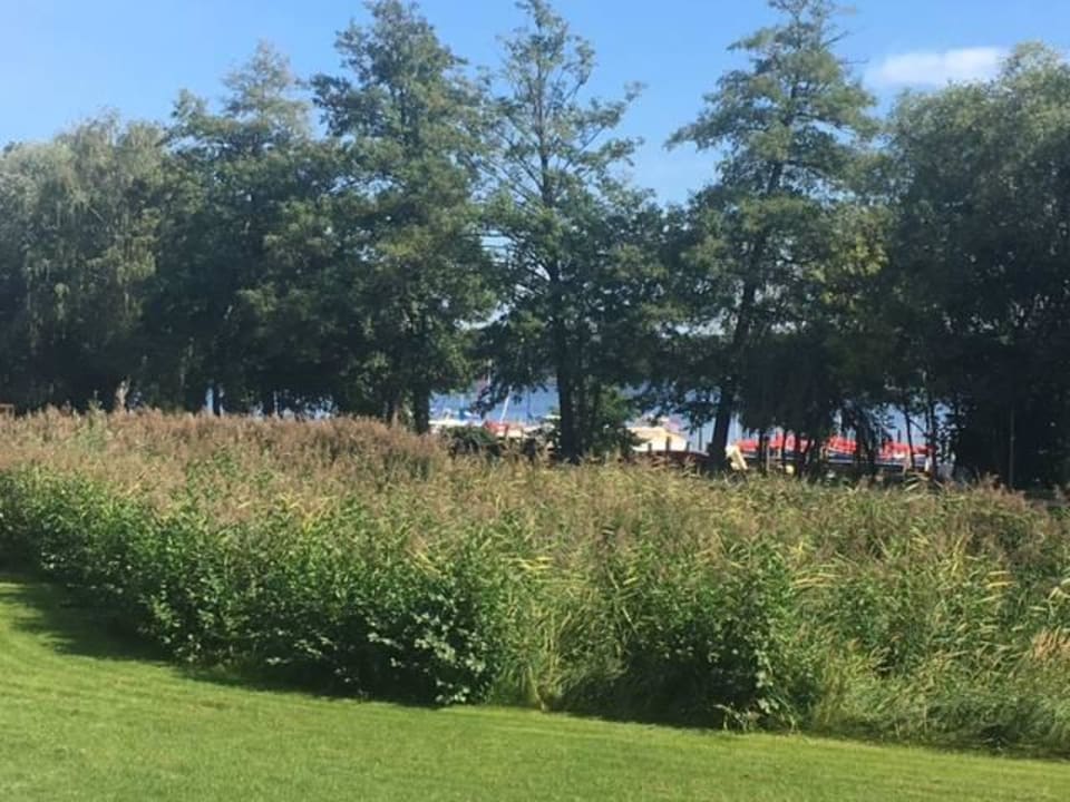 Eigener Hotel-Steg am Templiner see Kongresshotel Potsdam am Templiner See