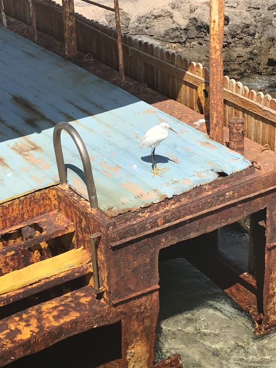 Sonstiges Akassia Swiss Resort