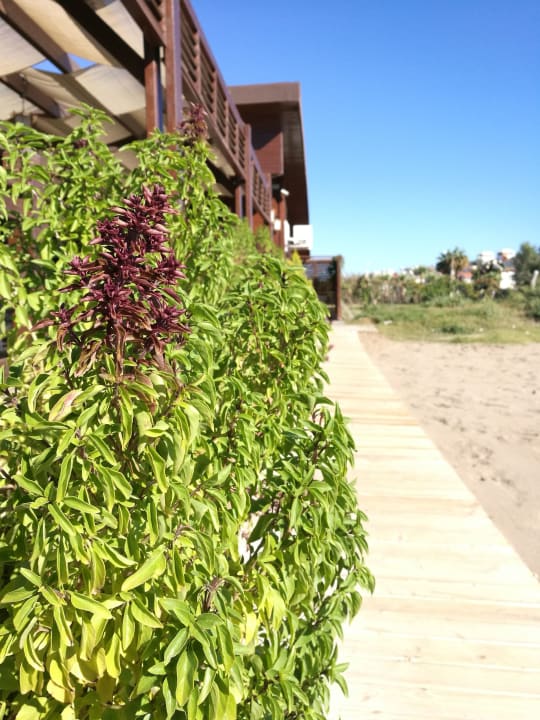 Gartenanlage Kirman Belazur Resort & Spa