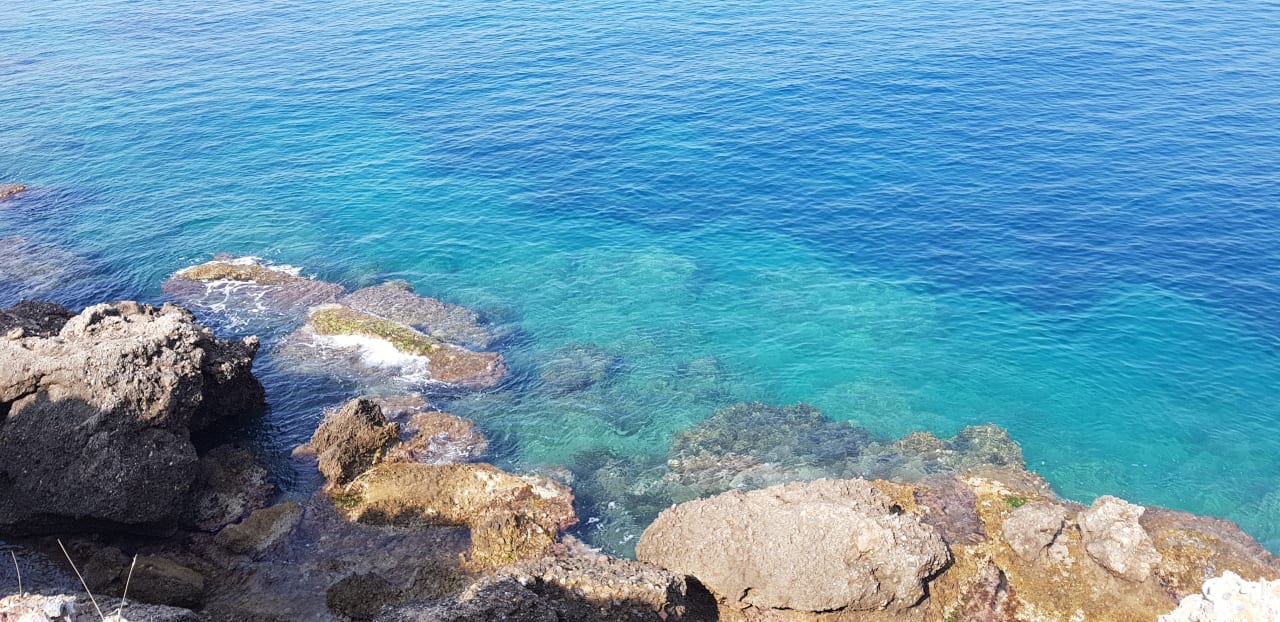 Strand Hotel Gardenia Beach