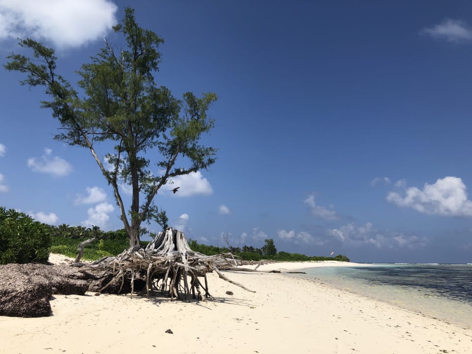 Strand Bird Island Seychelles - Private Island Villas