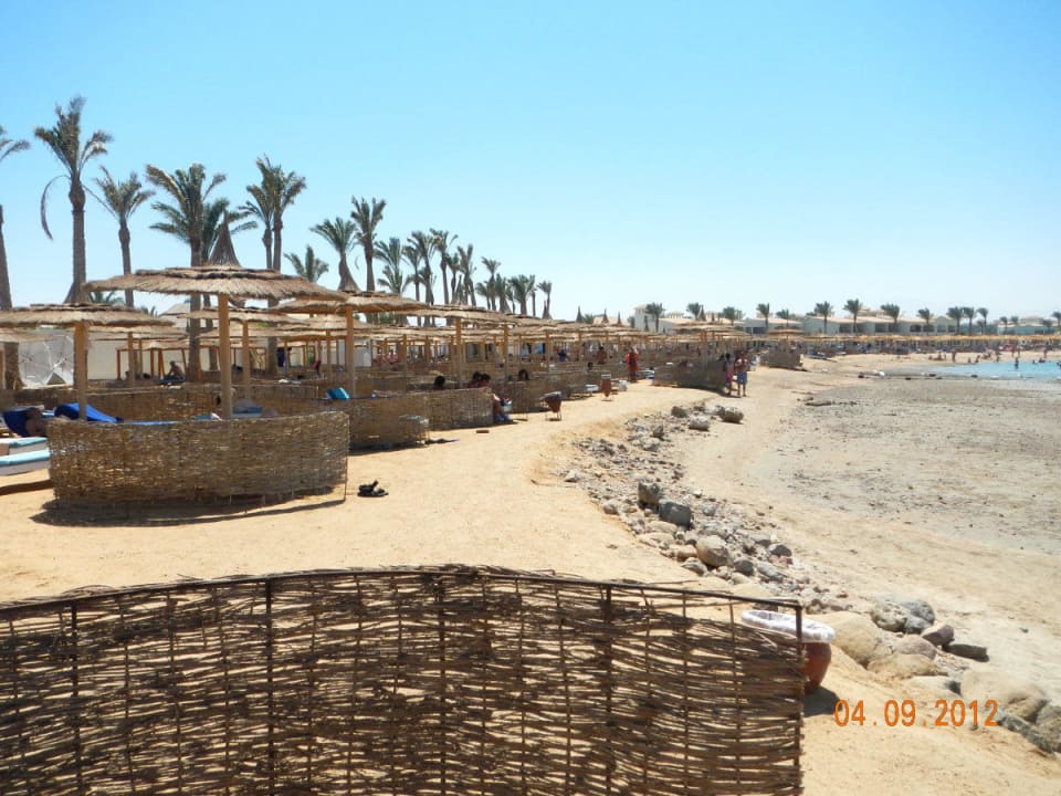 Gerade Ebbe Pickalbatros Alf Leila Wa Leila Resort - Neverland Hurghada