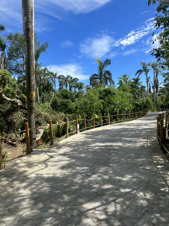 Gartenanlage Grand Bávaro Princess