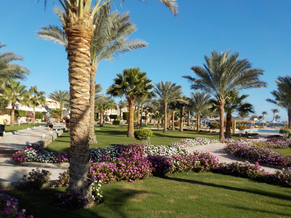 Garten Three Corners Sea Beach Resort