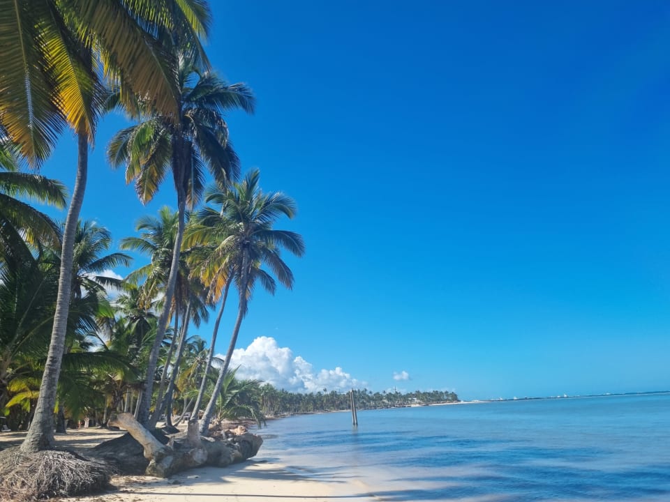 Strand Catalonia Punta Cana - All Inclusive