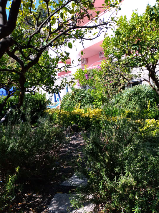 Gartenanlage Hotel Casa Rosa Terme