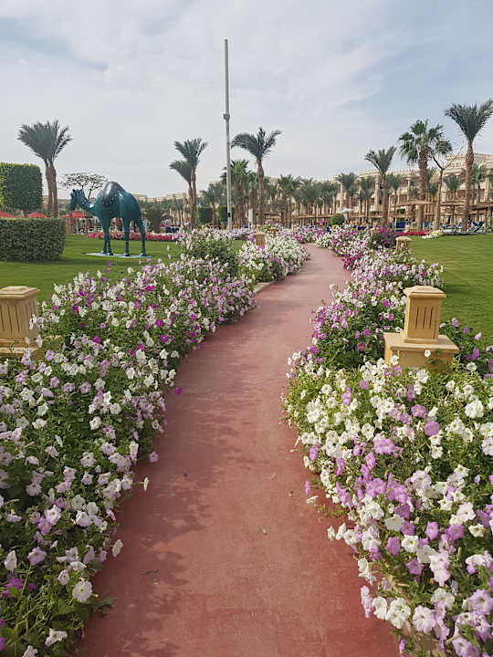 Gartenanlage Pickalbatros Palace Resort