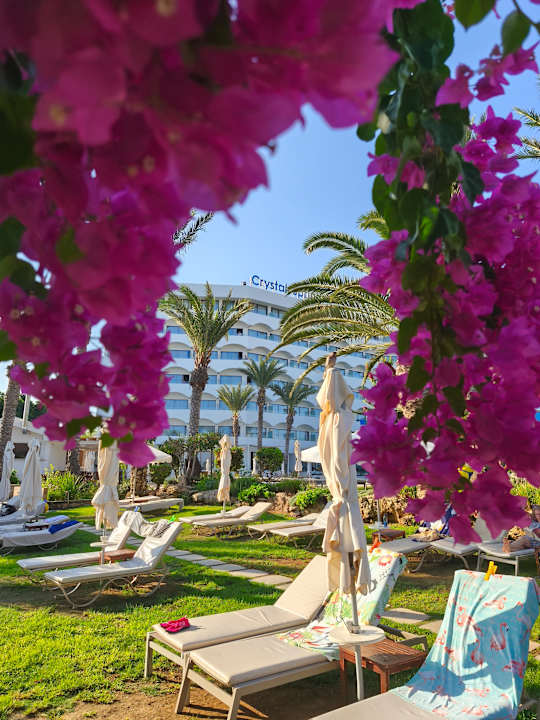 Gartenanlage Crystal Springs Beach Hotel