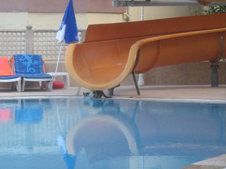 Wasserrutsche mit Besuch Doris Aytur Hotel