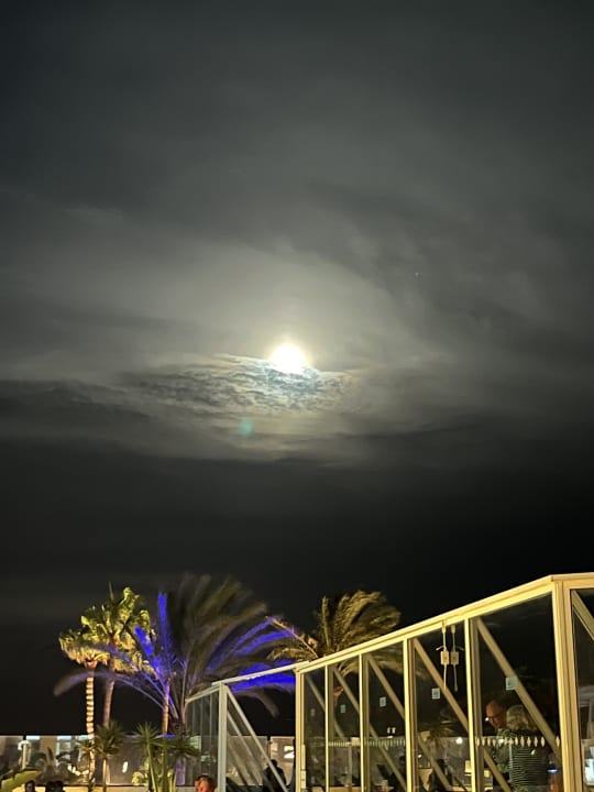 Ausblick allsun App.-Hotel Esquinzo Beach