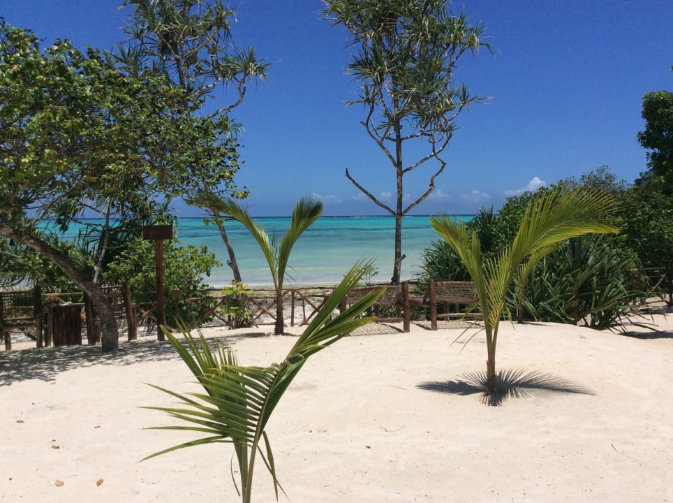 Gartenanlage Tikitam Palms Boutique Hotel