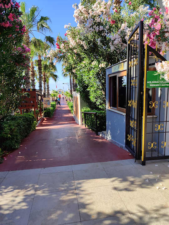 Gartenanlage Hotel Delphin Diva