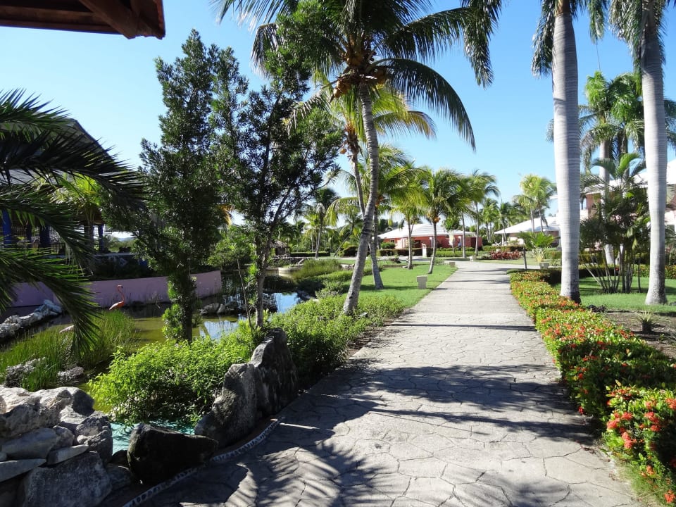 Im Hotel Royal Service at Paradisus Río de Oro Resort & Spa