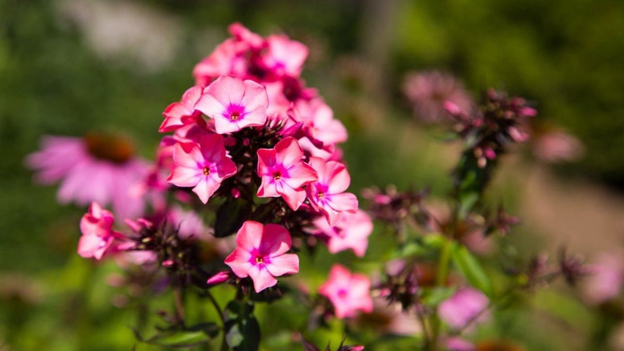 Außenbereich Hotel Christine