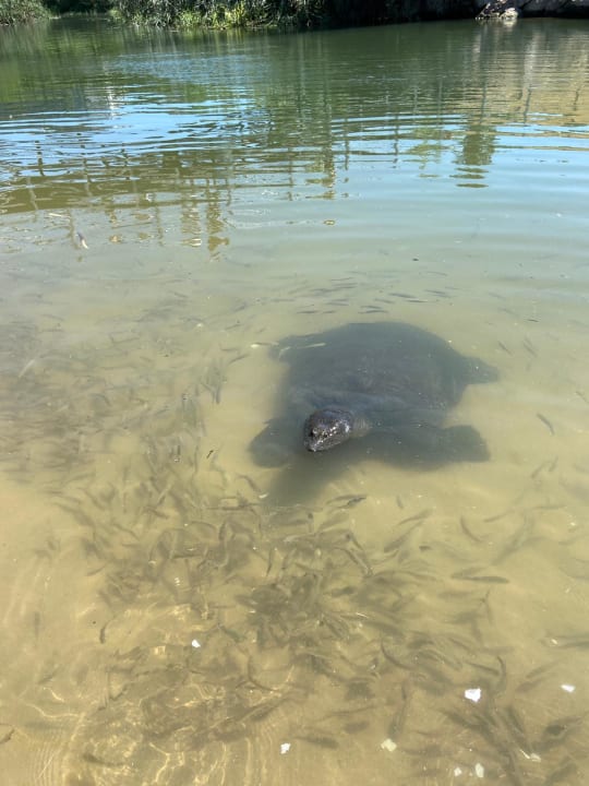 Strand Dream Fun World