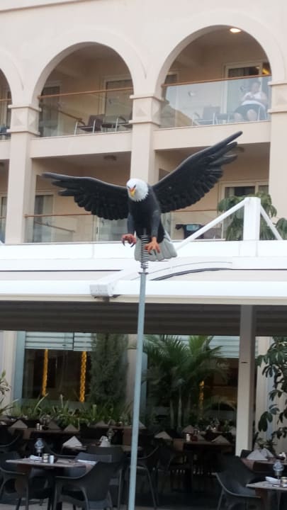 Gastro Pickalbatros White Beach Resort - Hurghada