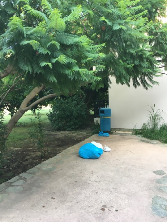 Außenansicht Starlight Resort Hotel