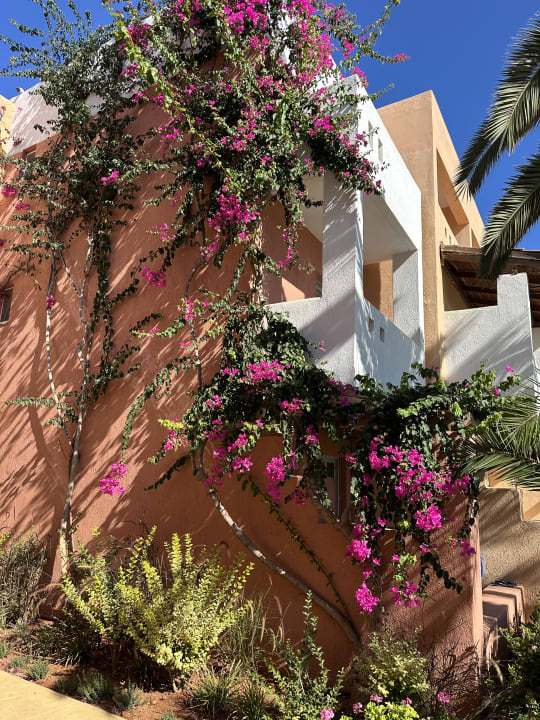 Gartenanlage Anissa Beach & Village