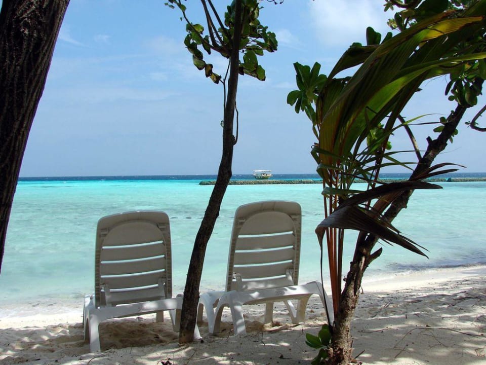 Urlaubsstimmung auf Summer Island Summer Island Maldives