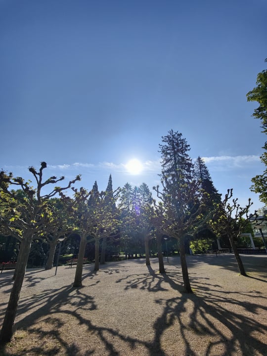 Gartenanlage Hotel an der Therme Bad Orb