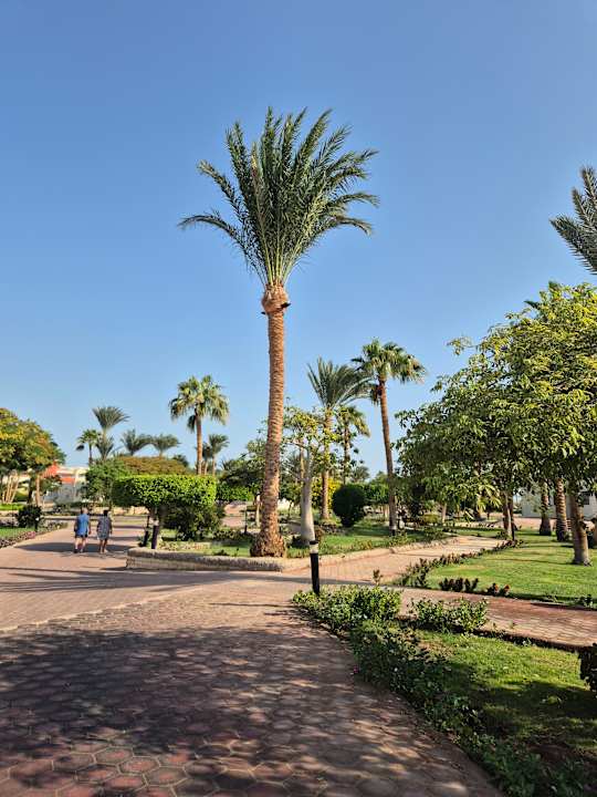 Gartenanlage Pharaoh Azur Resort