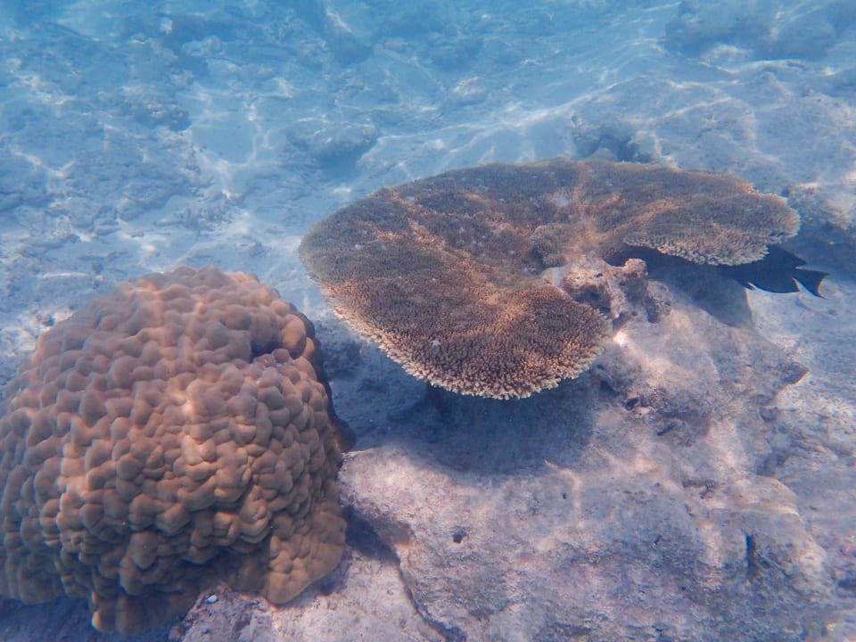 Sport & Freizeit NH Collection Maldives Reethi Resort