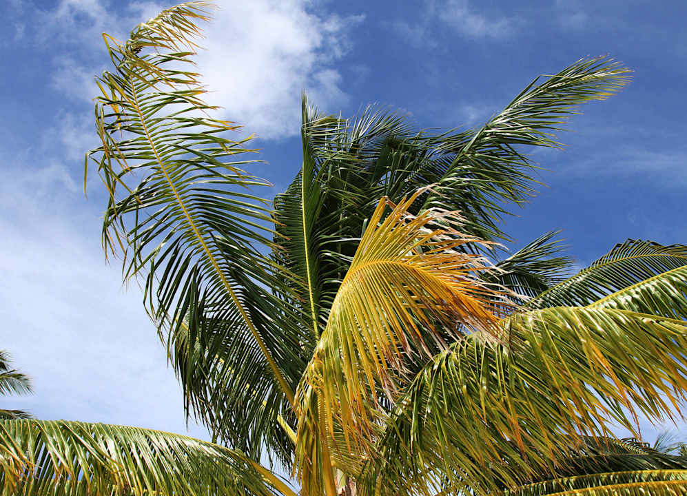 September 2014 Meeru Maldives Resort Island