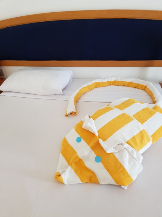 Eine Maus vom Roomboy Desert Rose