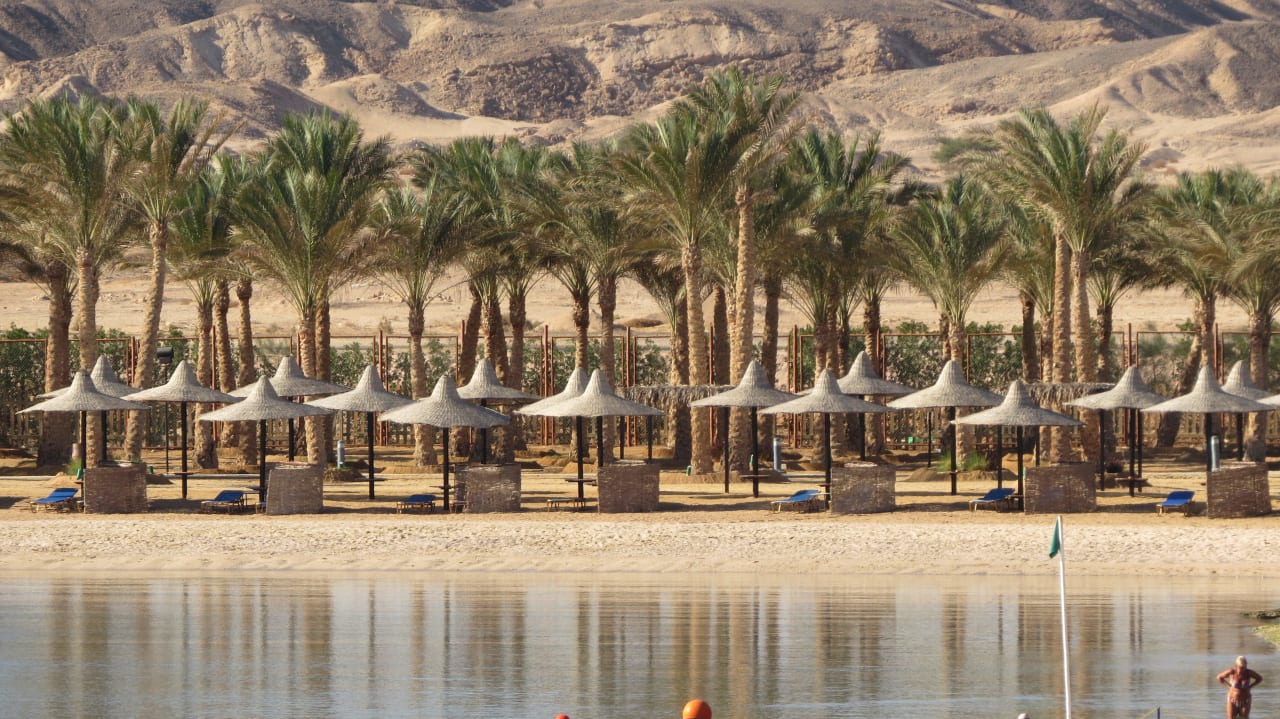 Strand vom Nachbarhotel Steigenberger Coraya Beach - Adults only