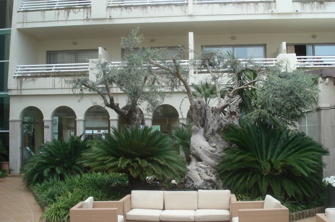 Eingang vom Strand aus VIVA Golf - Adults only 18+