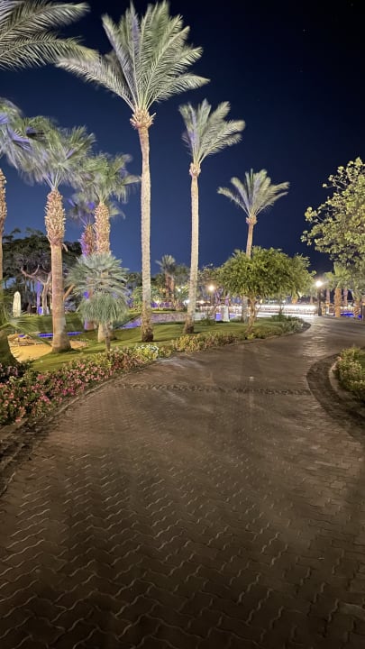 Gartenanlage Steigenberger ALDAU Beach Hotel