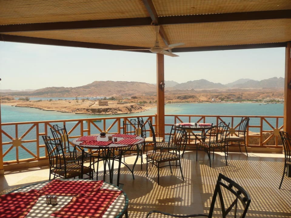 Ausblick Albatros Sharm Resort