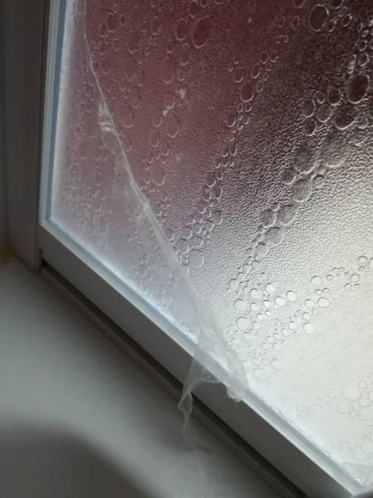 Zimmer Aydinbey Gold Dreams