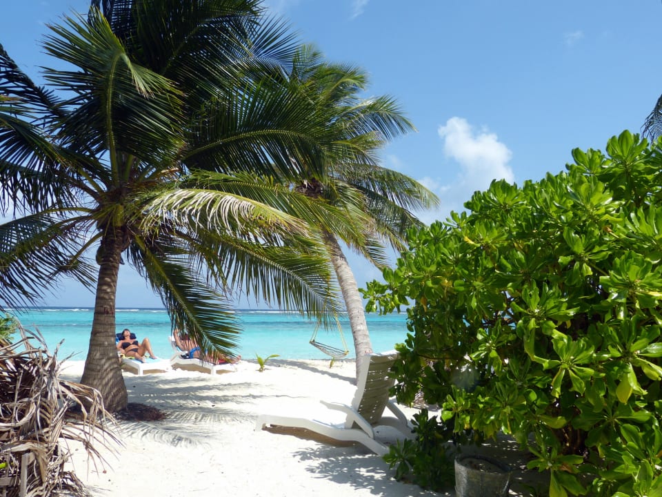 Superiorbungalow 220 Summer Island Maldives