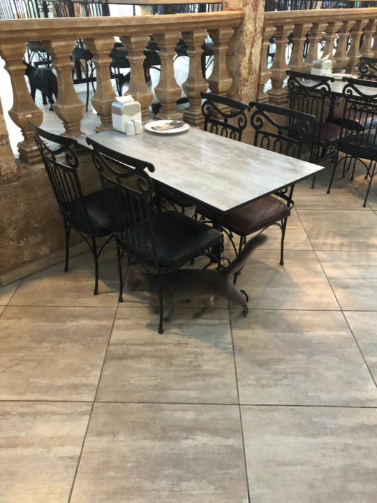 Gastro Club Resort Atlantis