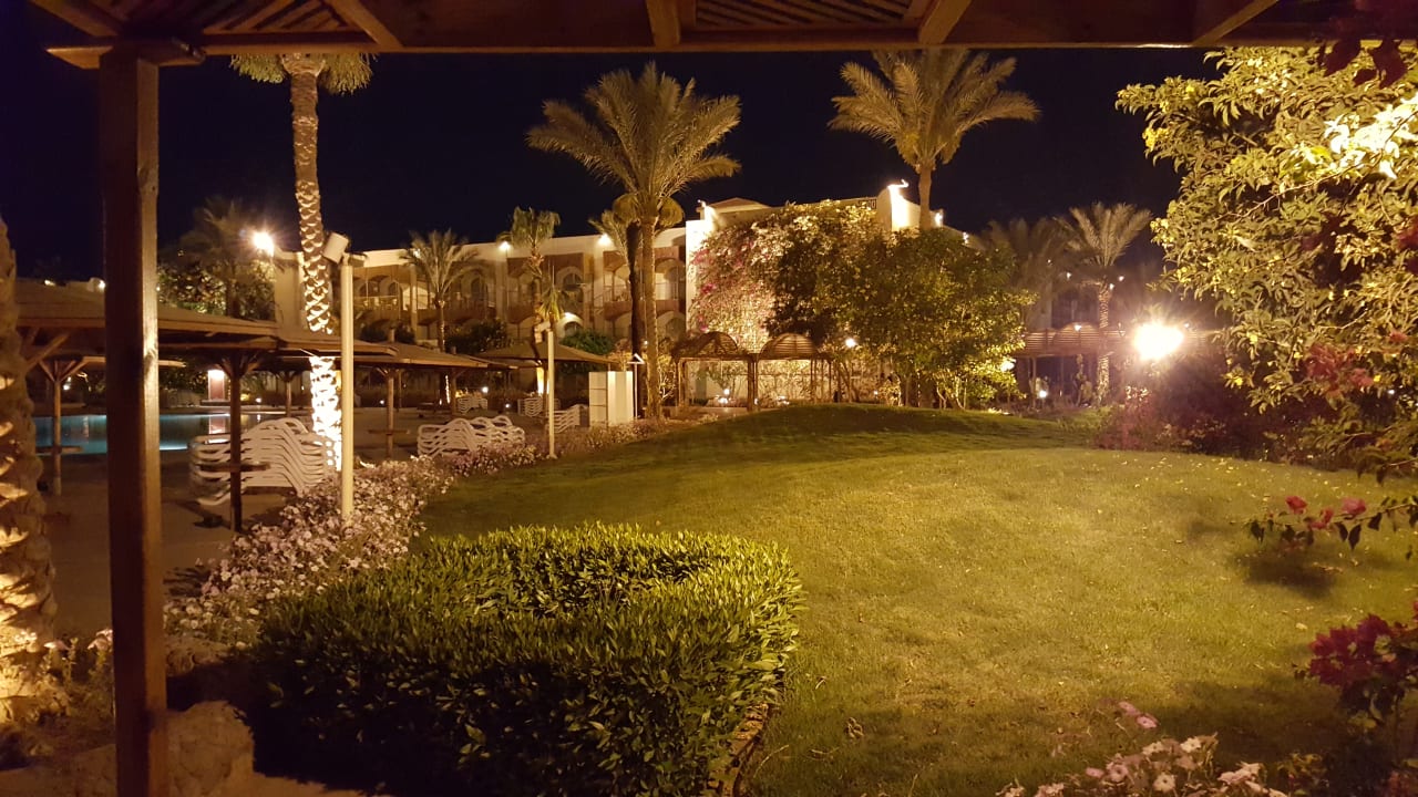 Gartenanlage Desert Rose