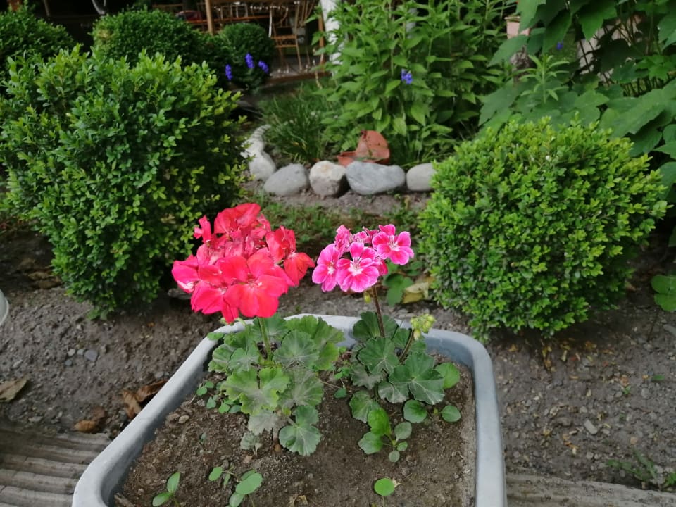 Gartenanlage Family Hotel Lago